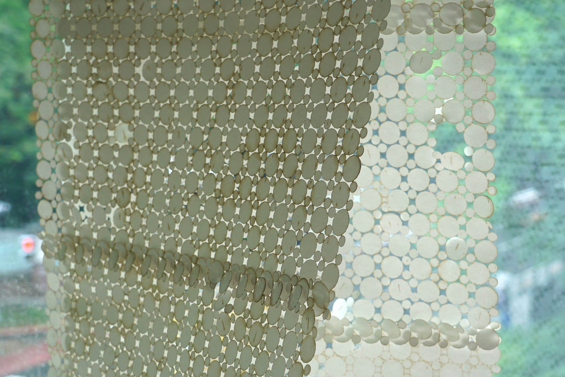 Polyethylene Chloe Paré